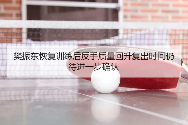 樊振东恢复训练后反手质量回升复出时间仍待进一步确认